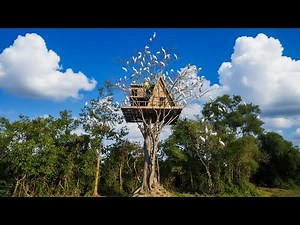 Survival Girl, Amazing Living Alone 100 Days on Treehouse Real Life in Jungle