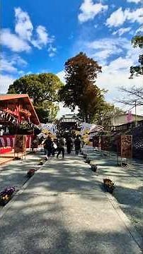 福島八幡宮は伝統を「武器」に変えた、まちおこしの最前線ここは今「歴史ある城跡の神社」という重厚な土台の上に「デジタルやSNS」という最新のエンジンを載せて爆走している神社です