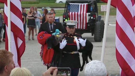 'Goodbye My Brother': Hundreds Say Goodbye To Hero Marine Dog In Emotional Ceremony