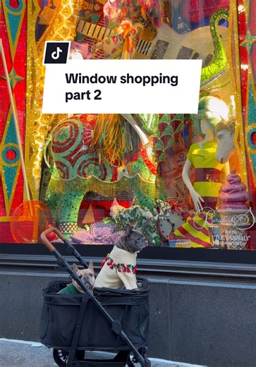 Replying to @jeffreywolf19821985 Let’s continue window shopping down 5th ave for the holidays! Let us know which window is your fave 🪟🎄❤️🎁 Window displays: @Bergdorf Goodman @Burberry @Louis Vuitton @Tiffany&Co. @Dior #lavednerandlatte #5thavewindowdisplay #nycatchristmas #2spoiledfrenchies