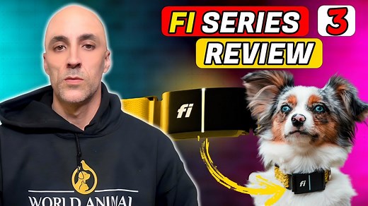 Fi Series 3 Smart Dog Collar - Hands-on Video Review