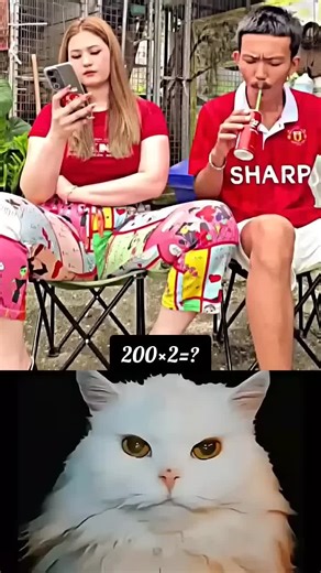 Innovative AI Technology: Meet the Smart Bot