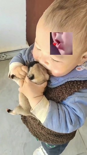 萌娃日常 on TikTok