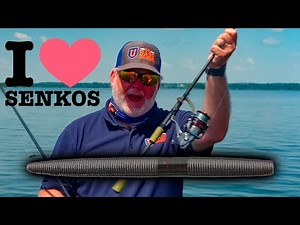 Wacky VS Texas Rig : Senko Bass Fishing Tips