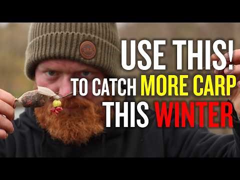 The Ultimate Guide To Winter Carp Fishing | Bait Tips | Spod Mix | Stick Mix | Liquids | Maggots