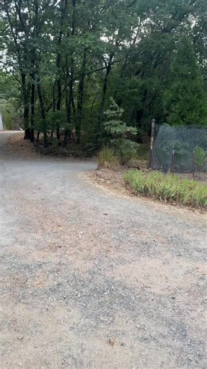 David (@david._.ramirez)’s videos with original sound - David