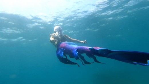 Would you Wander with me? 🧜🏻‍♀️ #thewanderingmermaid #ocean #mermaid #underwater #sea #siren #swim #mermaidtail #mermaidhair #swimming #florida #h2o
