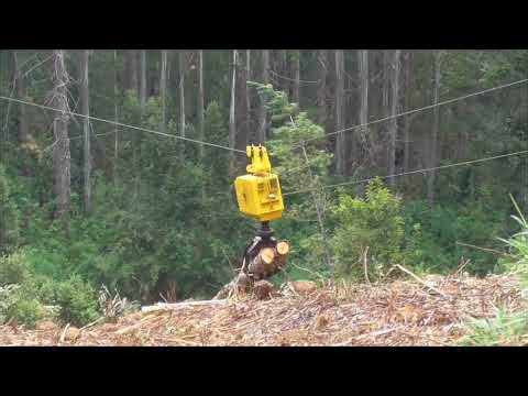 Alpine Standing Skyline Grapple Carriage