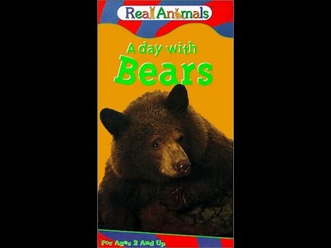 KidVision's Real Animals: A Day with Bears