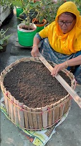 Easy way to make compost soil into the homemade bamboo trays for planting #garden #eggplant #shorts