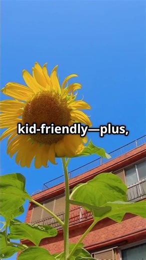 4 Tall Flowers That THRIVE in Pots (Not All Do!) #containergardeningtips #containergardening