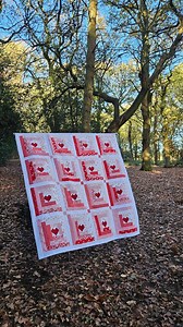 Happy valentines day to all my quilty friends 💕💕 Pattern: Hearts at Home by @chelsistratton .. such an easy quick pattern! Fabric: Letters to Cupid by @mymindseyeinc for @rileyblakedesigns #scrappypatchwork #redandwhitequilt #valentinesquilt #heartquilt #quiltreveal | Stitch With Rachel