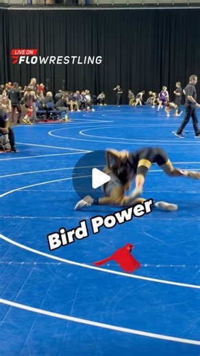 FloWrestling on Instagram: "Returning national champion Jaslynn Gallegos of North Central secured a first-round fall at the National Collegiate Women’s Wrestling Championships."