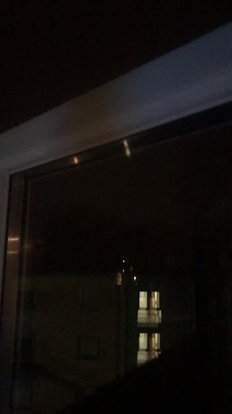 Scaring My Lizard in Birkenhead | New Year 2021