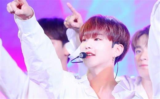 【超清现场】SEVENTEEN|190629Park Concert我凌热+good to me+oh my+very nice+小分队歌曲