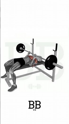 Close Grip Bench Press (TRICEPS): Build Bigger Arms! 💪