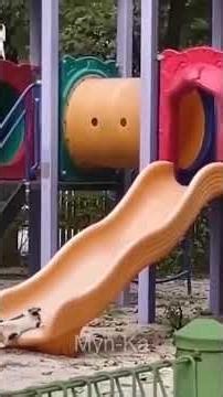 Cutest Pet Fails You Have To See!