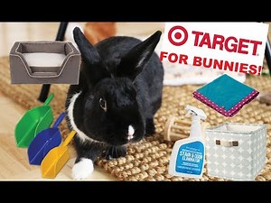 Things You Can Buy at TARGET for Rabbits!