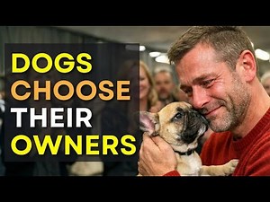 We Let Dogs Pick Their Families on Adoption Day And THIS Happened 😢