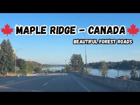 Driving Through Maple Ridge 🍁 | Scenic Forest Roads in British Columbia, Canada