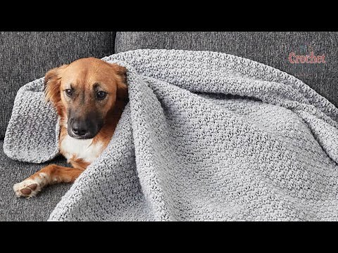Easy Crochet Dog Blanket