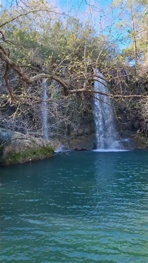 Magical Forest Waterfall in 4K 🌿💦 #Shorts #NatureAesthetics #SilentNature