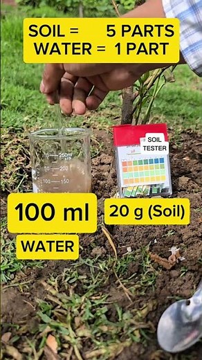 How to Check Soil pH Easily! 🌱 #soiltest #testkit #phtesting
