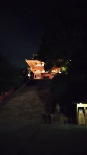 「夜の鶴岡八幡宮」#鶴岡八幡宮 #風情 #観光