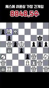 이론상 가장긴 체스 경기 #chess