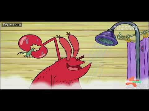 SpongeBob SquarePants 19 Season Nicktoons Bug Screen