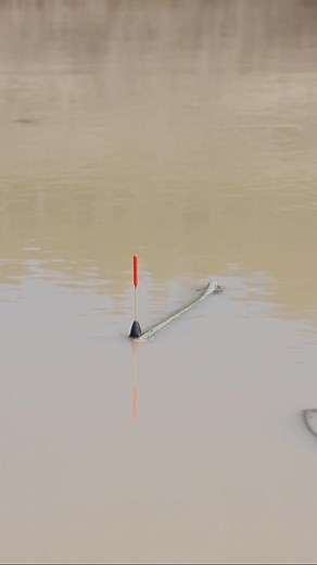 Float Fishing Tips: Bobber of the Week First Bite Experience