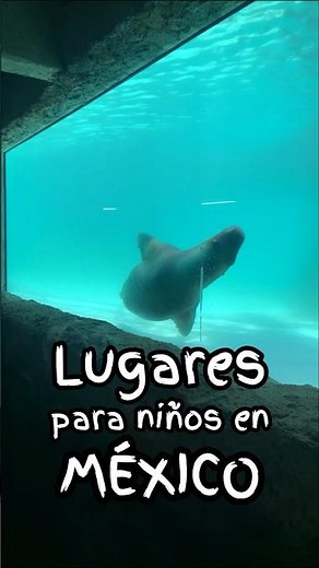 Lugares para niños en México 💫 COCODI 💕