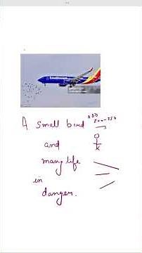 "How Bird Strikes Affect Jet Engines: The Power of Dual Engines 🚁🦅"