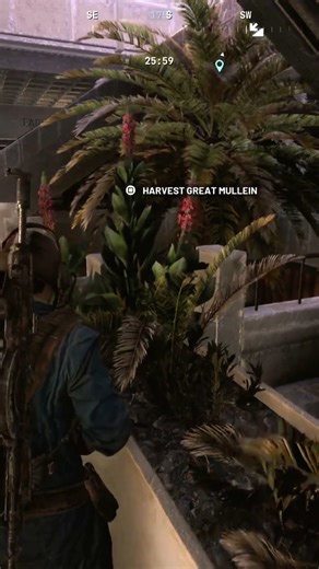 How To Get Great Mullein in Arc Raiders Quick Guide