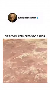 ELE NÃO ESQUECEU. MESMO APÓS 8 ANOS. 🐶⏳ O tempo passou. O cachorro cresceu. A vida seguiu outro rumo. Mas quando o antigo dono apareceu… não houve dúvida. O corpo reagiu antes do pensamento. A cauda, o olhar, o choro contido. Ele lembrou. Cães não entendem anos. Eles entendem vínculo. A memória deles é emocional: cheiro, voz, sensação de proteção. Quando o amor foi real, o cérebro grava — e não apaga. Oito anos longe. Oito anos sem contato. E ainda assim, o reconhecimento foi imediato. Porque o
