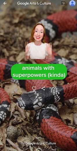 Animal Superpowers: Thorny Devil and More