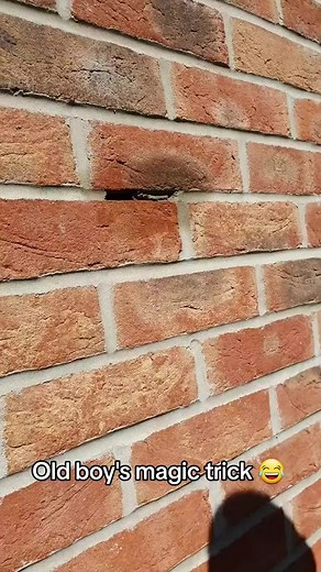 137.How To Lay Bricks tricks For Beginners Using a line 🧱🧱🧱🧱#brickhouse #bricks | Bricklayer