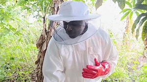 3.6K views · 92 reactions | Ce qu'il faut retenir de la formation en...