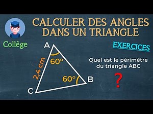 Calculating angles in a triangle (exercises) - College - Little Scientists