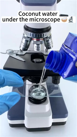 4.4K views | Coconut water is beautiful at 400x under a microscope! #microscope | Karol Bree Joiner | Facebook