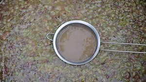 Concept for making white wine in process - juice extraction for tasting - wine in fermentation process