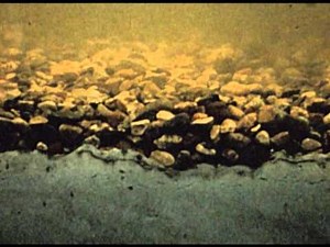 Transport of sediment by flowing water