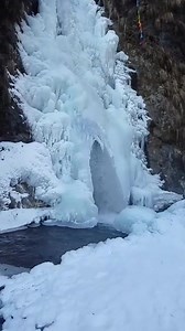 482K views · 14K shares | So beautiful | Amazing World | Facebook