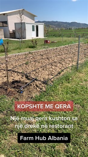 Farm Hub Albania: Renting a Farm for a Month - A Sustainable Experience