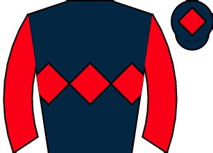 Howarth Timber & Building Supplies Novices' Handicap Hurdle (GBB Race)