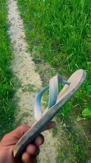 #न्यू शॉर्ट वीडियो₹ और सपोर्ट करें #भाई#nature 🙏🙏🙏🙏🙏🙏🙏🙏🙏🙏🙏