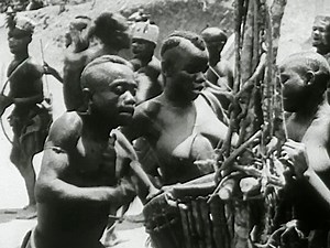 The Perpetual Song and Dance of the Pygmies