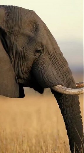 How the Universe Was Created: The Biblical Story of Creation Explained”