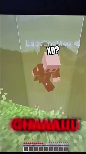 ¡los chunks se borran! #minecraft