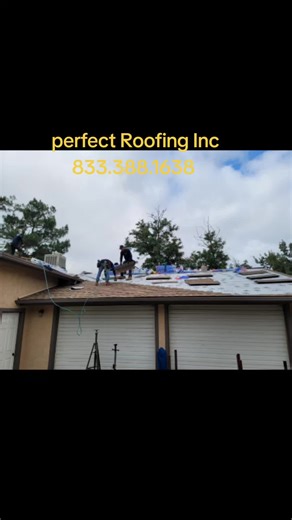 Your roof deserves more than a quick fix — it deserves perfection. At Perfect Roofing Inc, we combine craftsmanship, reliability, and peace of mind. From inspection to installation, we protect what matters most. 📞 833-388-1638 ✨ Quality you can see. Protection you can trust. #PerfectRoofing #RoofingExperts #QualityThatLasts #HomeInvestment #tik_tok